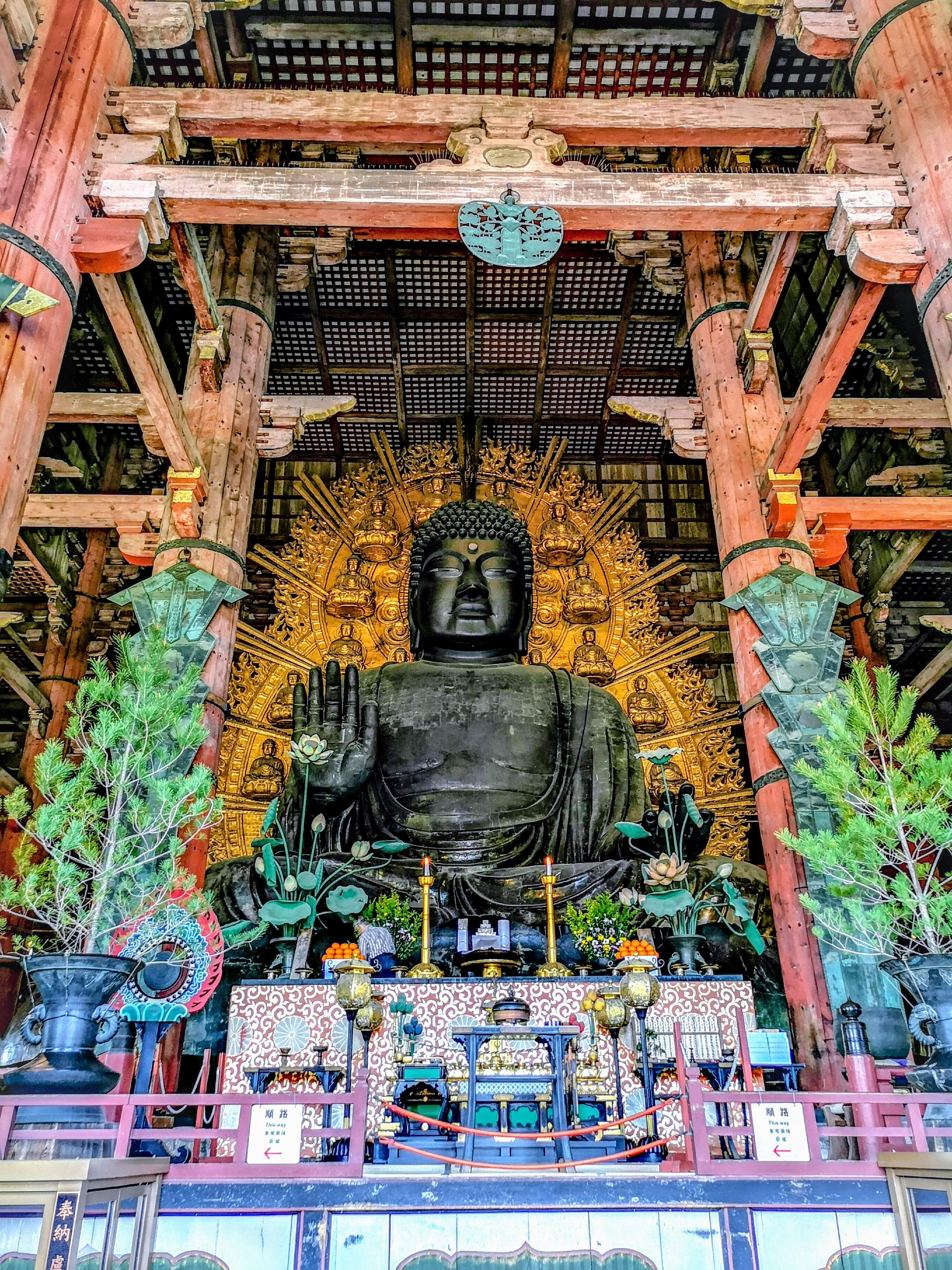 Daibutsuden Buddha