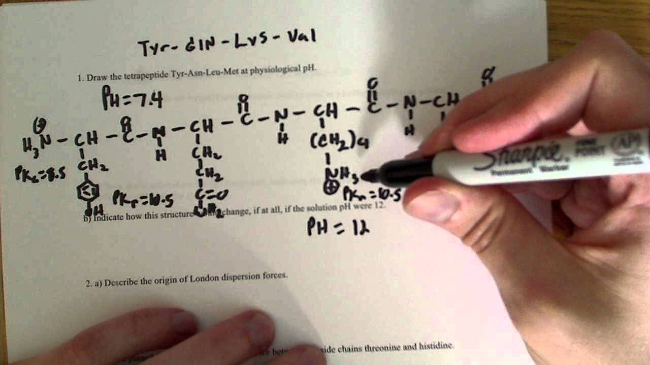 More Peptide bond formation and Amino Acid structure problems