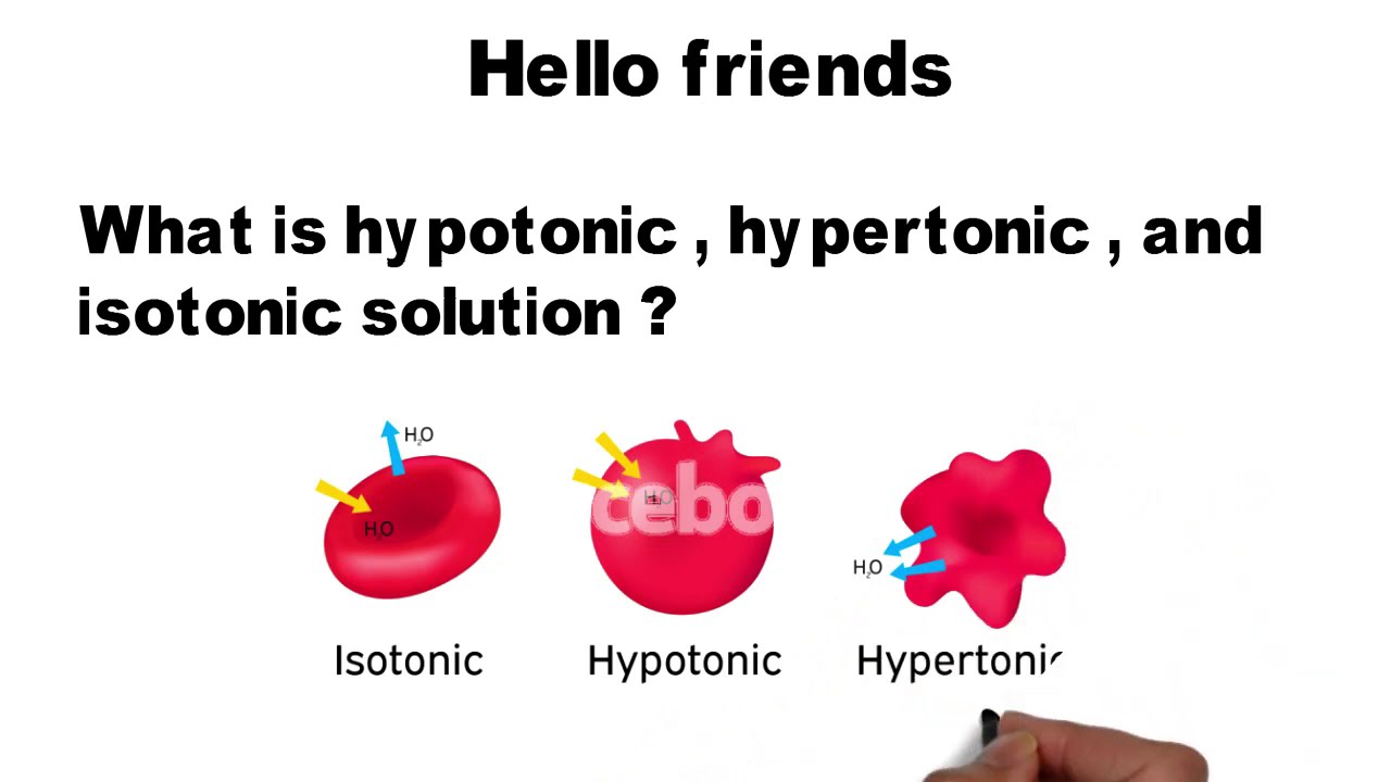 Hypertonic hypotonic isotonic simple diagrams - parentseka