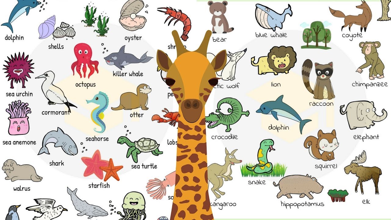 Animal Names Types of Animals in English with Useful List