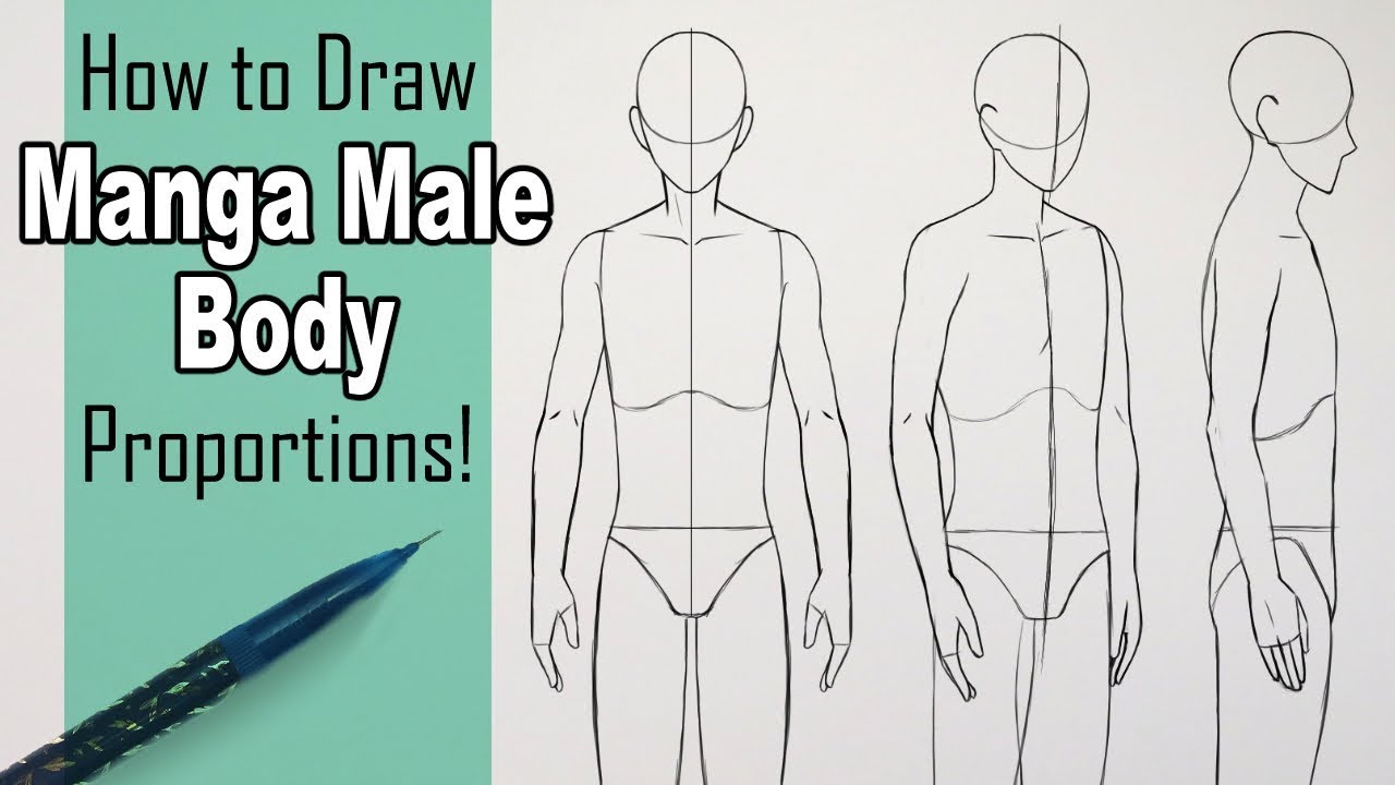 drawanimesideviewbodyproportionsgif 461600  Como dibujar cuerpo  anime Dibujos con figuras Perfiles dibujo