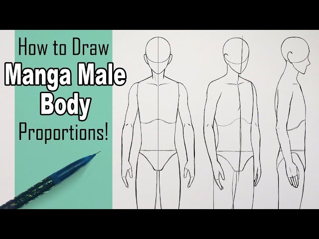 Differences between men and womens bodies in anime  Anime Art Magazine