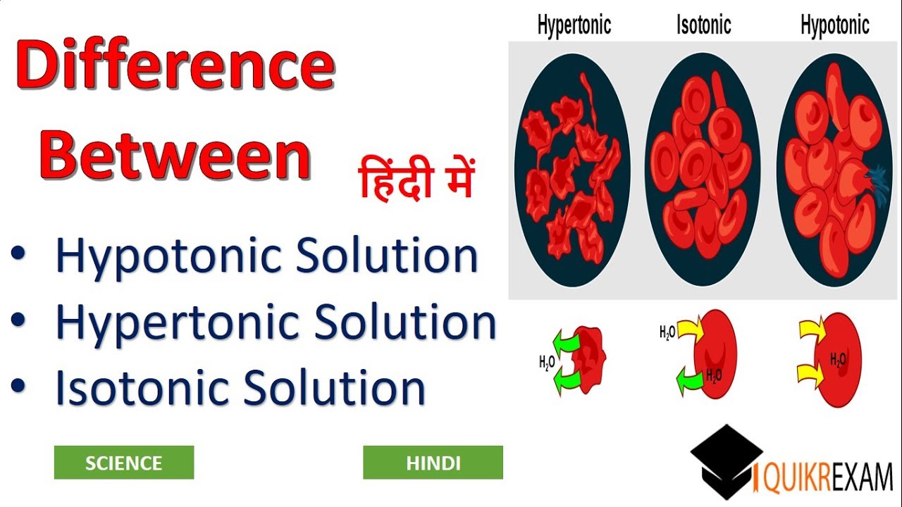 Hypertonic hypotonic isotonic simple diagrams - stormtips