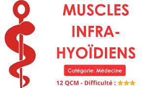 MUSCLES INFRA-HYOÏDIENS - Catégorie: Médecine - 12 QCM - Difficulté : ⭐⭐⭐