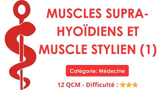 Muscles SUPRA-HYOÏDIENS et muscle stylien (1) - 12 QCM - Difficulté : ⭐⭐⭐