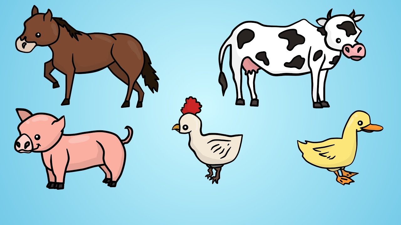 How To Draw Farm Animals Easily - tyjsergdhj2