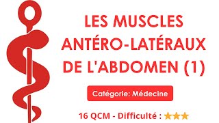 Les muscles antéro-latéraux de l'abdomen (1) - 16 QCM - Difficulté : ⭐⭐⭐