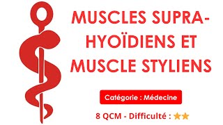 MUSCLES SUPRA-HYOÏDIENS ET MUSCLE STYLIENS