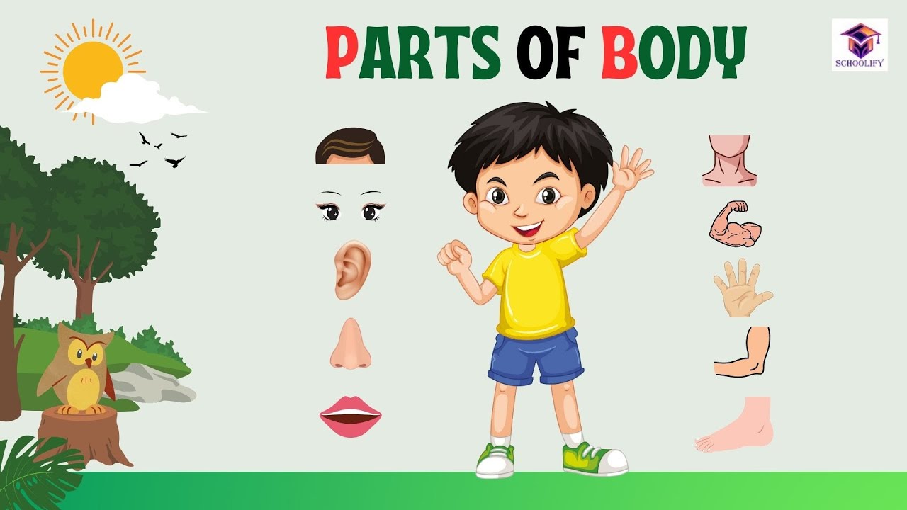 LEARN PARTS OF BODY | KIDS LEARN PARTS OF BODY - YouTube