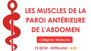 LES MUSCLES DE LA PAROI ANTÉRIEURE DE L’ABDOMEN - 15 QCM - Difficulté : ⭐⭐