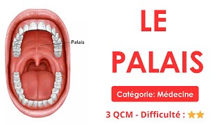 LE PALAIS - Catégorie: Médecine - 3 QCM - Difficulté : ⭐⭐