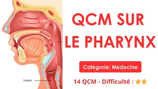 QCM SUR LE PHARYNX