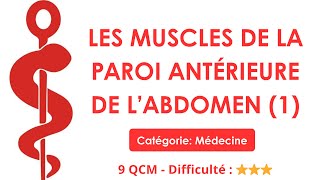 LES MUSCLES DE LA PAROI ANTÉRIEURE DE L’ABDOMEN (1) - 9 QCM - Difficulté : ⭐⭐⭐