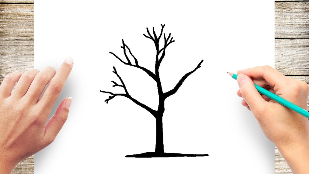 Brilliant Tips About How To Draw Trees And Branches - Assistancecorporation