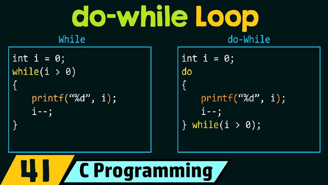 Programming For Loop