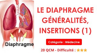 LE DIAPHRAGME GÉNÉRALITÉS, INSERTIONS (1) - Catégorie : Médecine - 20 QCM - Difficulté : ⭐⭐⭐