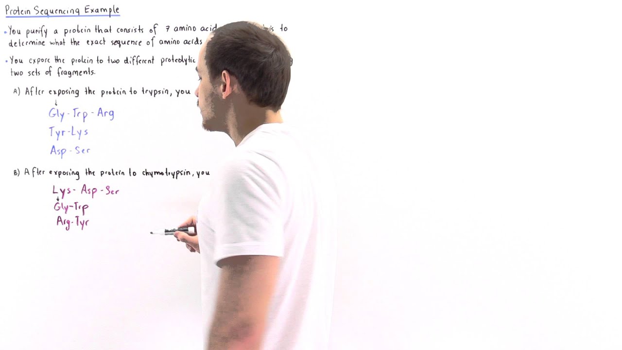 Protein Sequencing Example