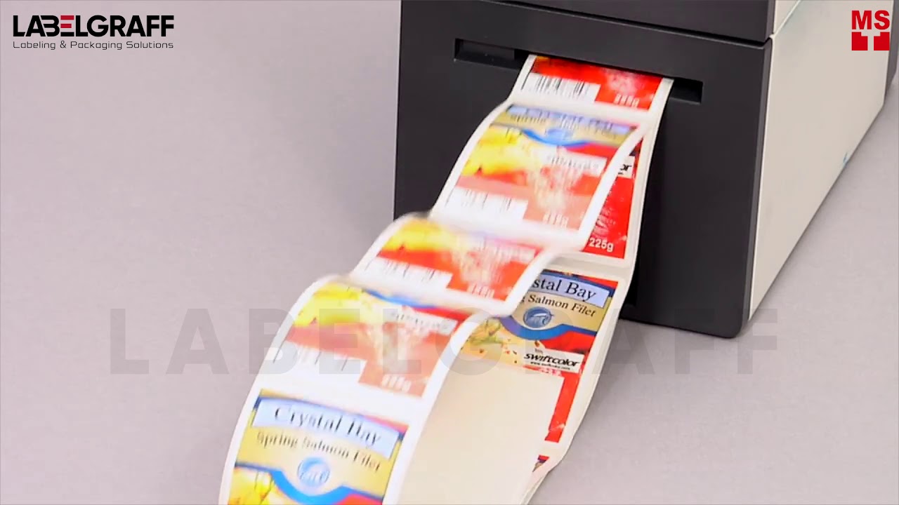 Ambientalista Viva visión label sticker printer Accesible En contra ...