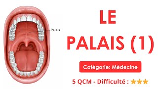 LE PALAIS (1) - Catégorie: Médecine - 5 QCM - Difficulté : ⭐⭐⭐