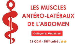 Les muscles antéro-latéraux de l'abdomen - 21 QCM - Difficulté : ⭐⭐