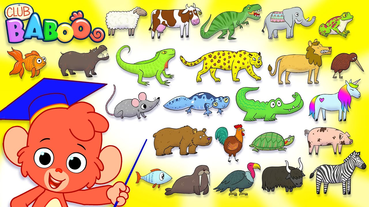 Animal Alphabet Zoo