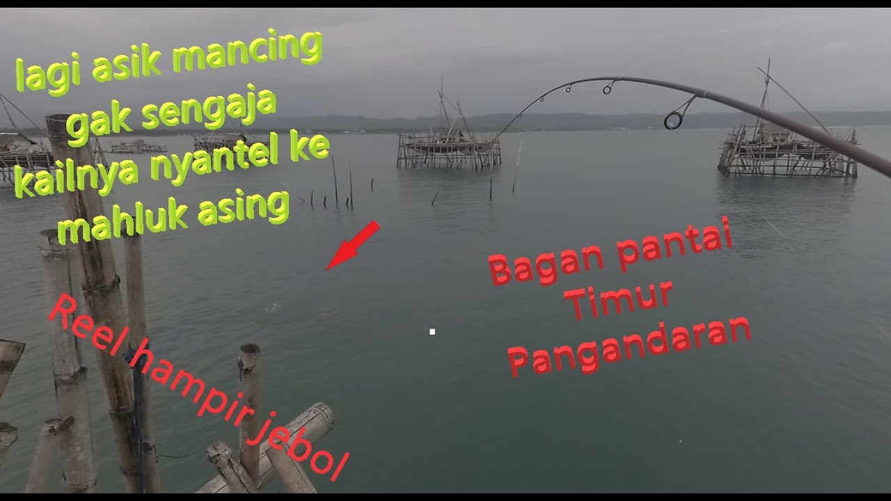 Keseruan Mancing Di Bagan/Bagang Pantai Timur Pangandaran Ternyata Ada ...