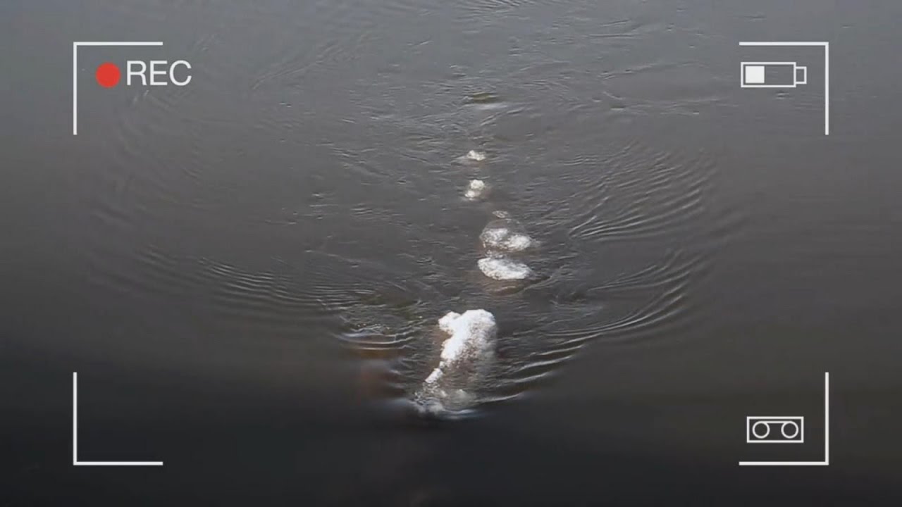 American Loch Ness Monster Video Going Viral - INBV News