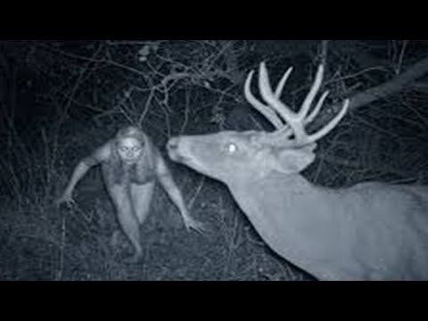 Top 10 Weird Trail Cam Photos That Will Haunt You - Youtube