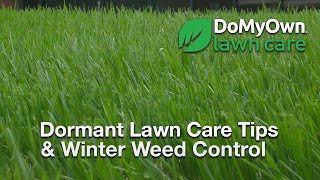 Winter Lawn Care Videos