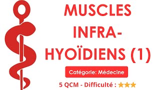 MUSCLES INFRA-HYOÏDIENS (1) - Catégorie: Médecine - 5 QCM - Difficulté : ⭐⭐⭐