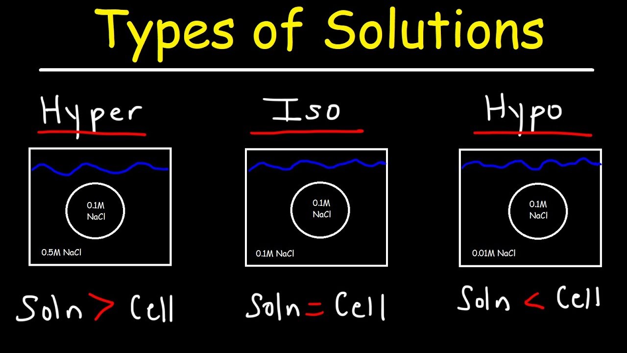 Hypotonic Example