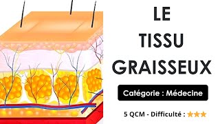 LE TISSU GRAISSEUX - 5 QCM - Difficulté : ⭐⭐⭐