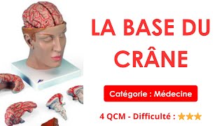 La base du crâne - Catégorie : Médecine - 4 QCM - Difficulté : ⭐⭐⭐