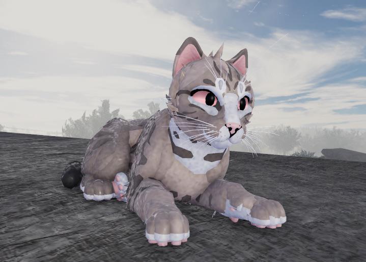 Warrior Cat Oc Roblox ~ Roblox Warrior Cat Ocs | Giyarisyah