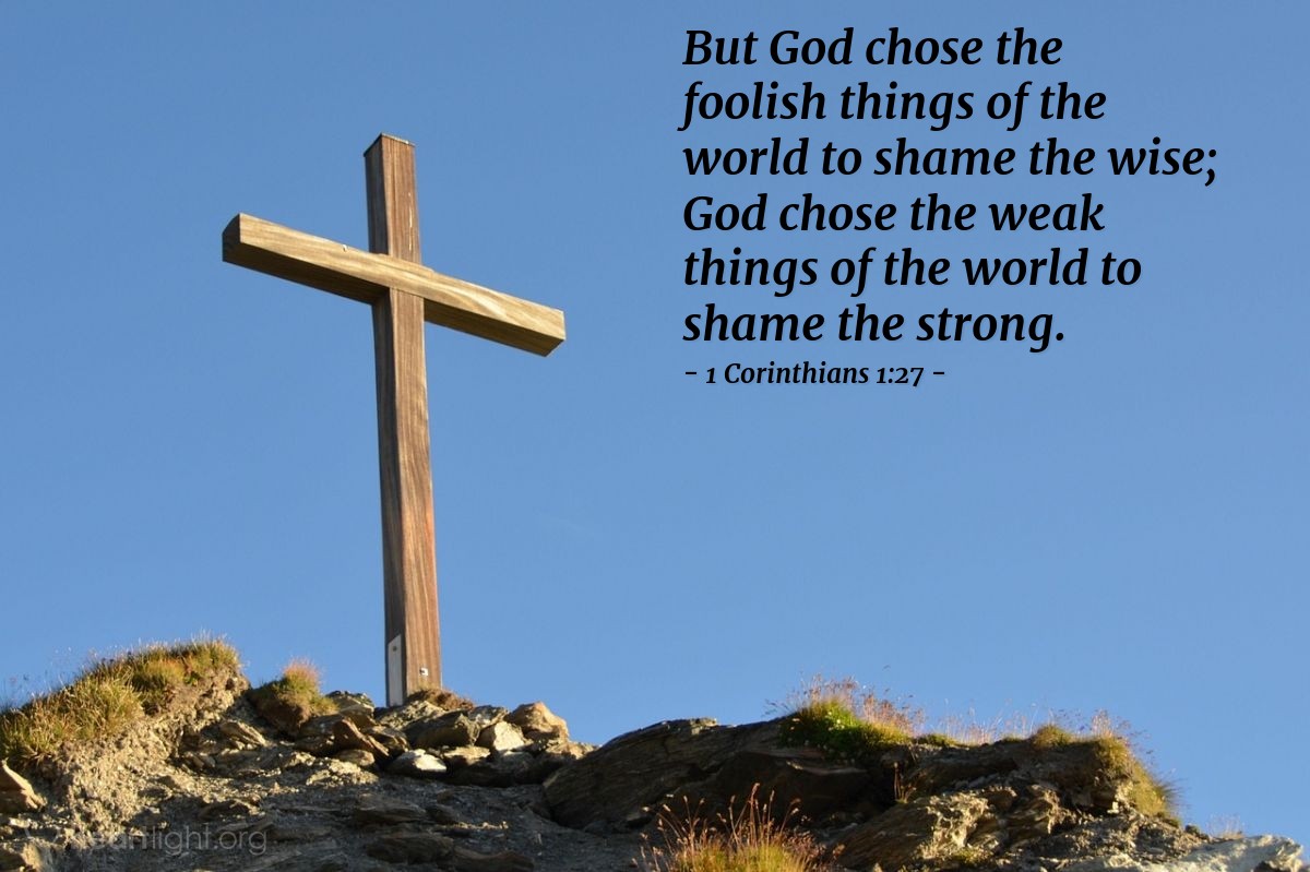 Illustration of 1 Corinthians 1:27 — But God chose the foolish things of the world to shame the wise; God chose the weak things of the world to shame the strong. 