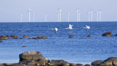 A flat landscape with drilling apparatus, a power line and wind turbines (Credit: Getty Images)