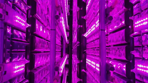 Vertical farm