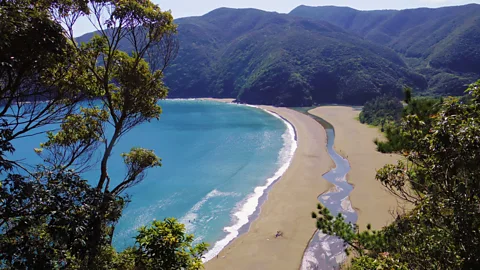 A line of people stand with signs largely in Japanese. Some English words appear u2013 "STOP", "UNESCO" and #Save Katoku" (Credit: katoku.org)