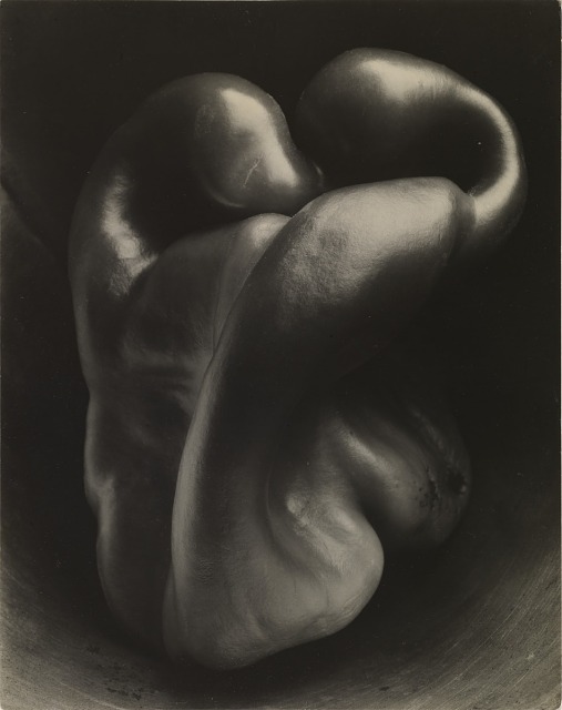 Edward Weston, Pepper no. 30, 1930, gelatin silver print, Smithsonian American Art Museum, Museum purchase, 1985.56