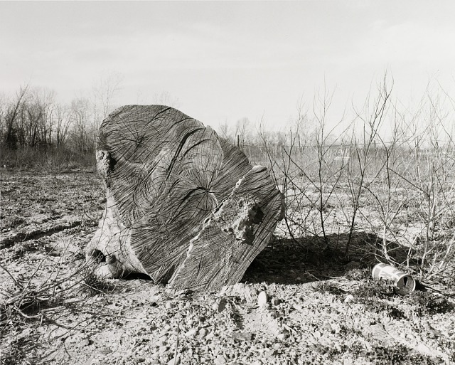 John R. Gossage, Untitled, from the series The Pond, 1985, gelatin silver print, Smithsonian American Art Museum, Gift of anonymous donors, 2007.40.31, © 1985, John Gossage