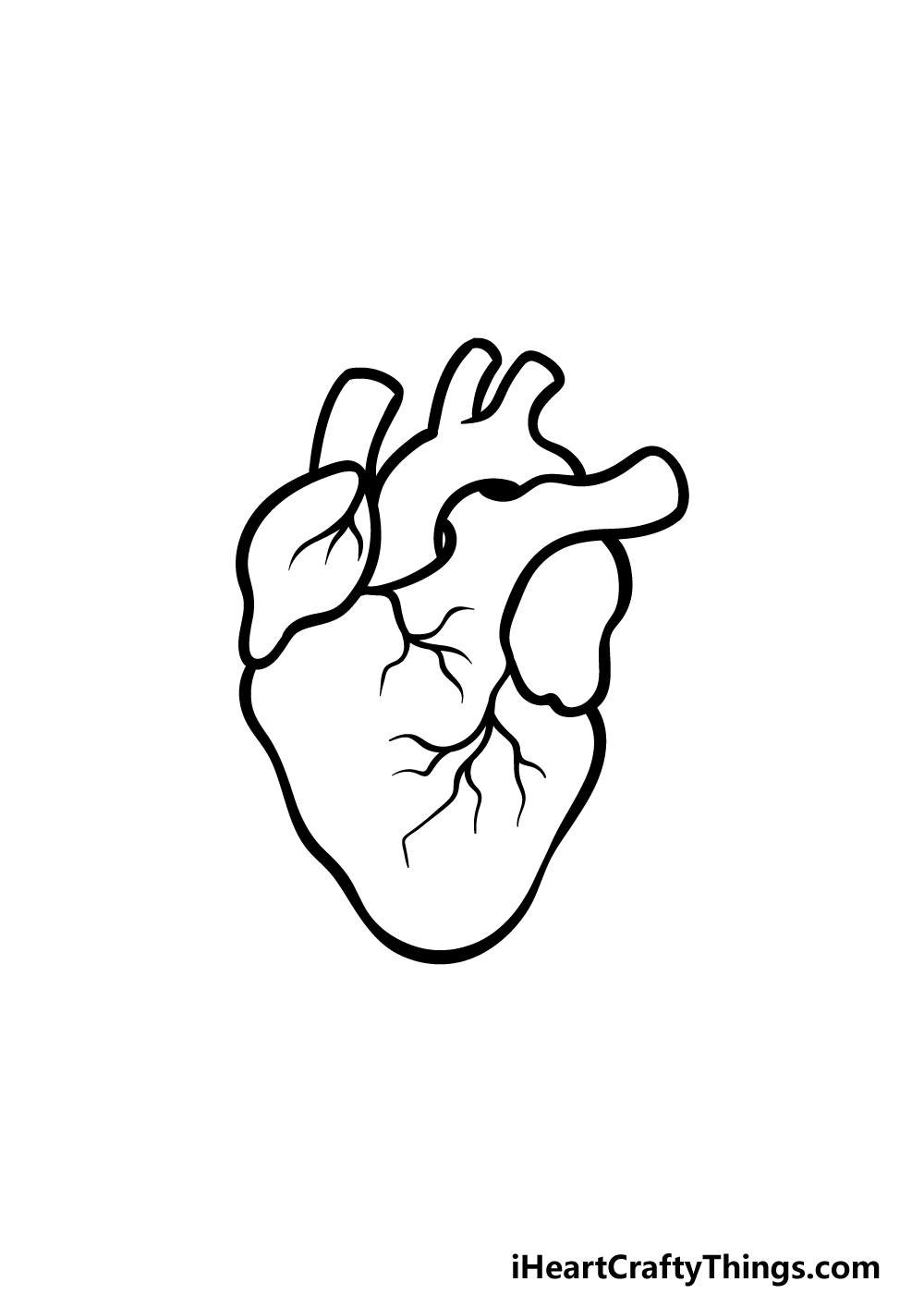 Ideal Tips About How To Draw A Real Heart - Internetdimension