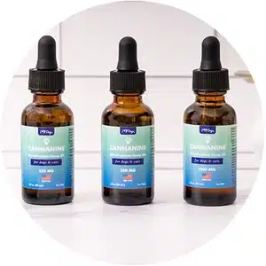 CBD Oil Products