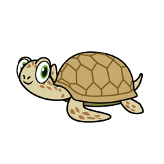 Sea Turtle