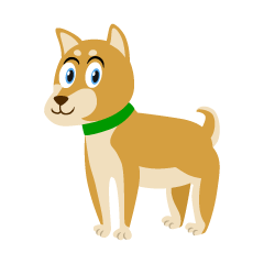 Shiba Dog