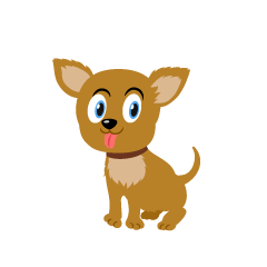 Perro Chihuahua