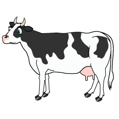 Cow