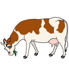 Eating Brown Cow