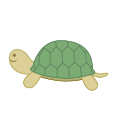 Cute Turtle