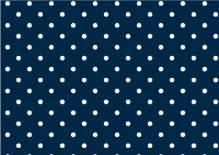 White Polka Dot Navy