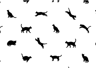 Black Cat Pattern